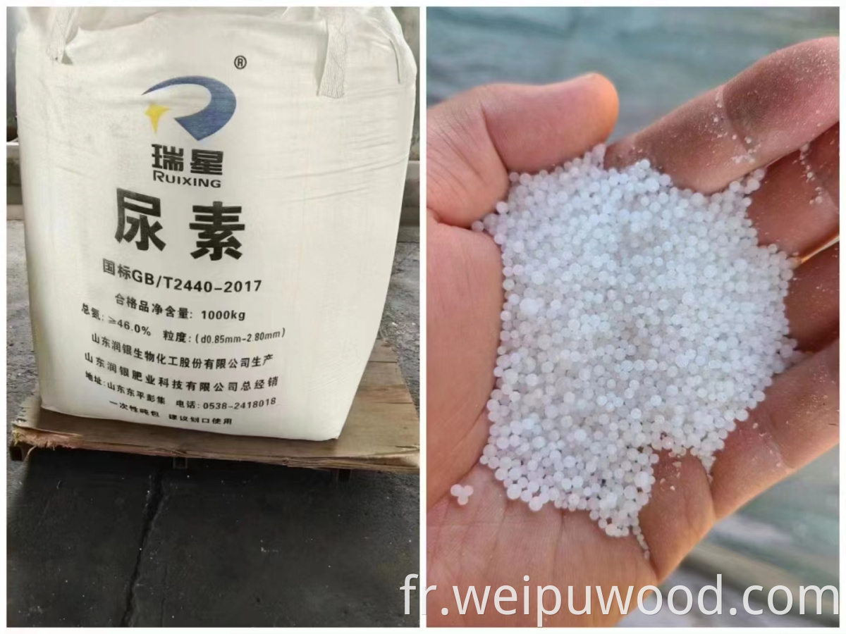 Medium Particle Urea